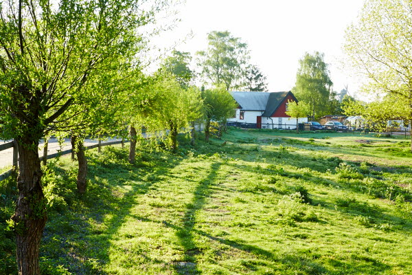 Ett korsvirkeshus vid en allé och hage. Foto.