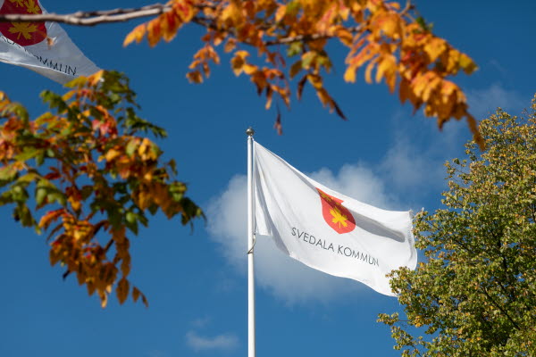 Flagga med Svedala kommuns logotyp. Träd med höstlöv. Foto.