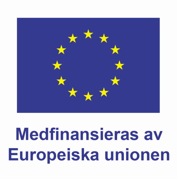 Logga Europeiska unionen.