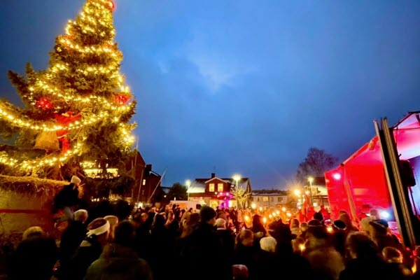 En folksamling på kvällen bredvid en upplyst hög julgran. Foto.