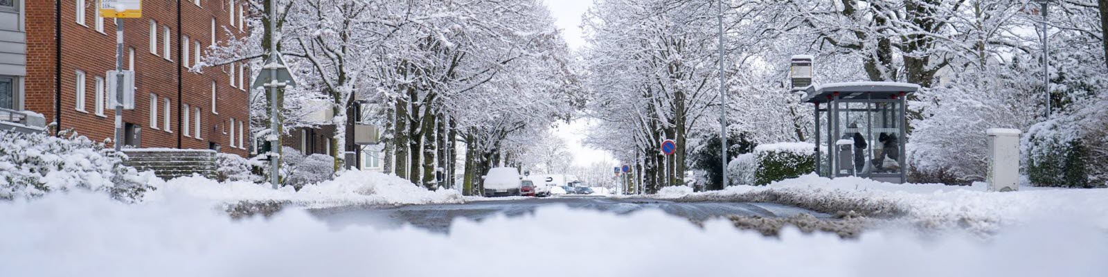 Snö längs en gata och i trädallén. Foto.