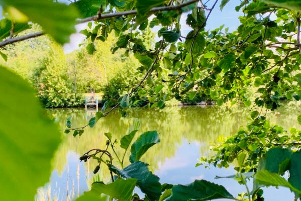 Mindre sjö med två bryggor och liten sandstrand. Ett flertal människor ligger i gräset som omger sjön. Foto.