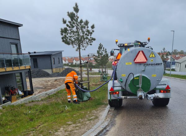 En arbetare i orangea arbetskläder vattnar ett träd med en slang från ett tanksläp. Runt om syns flera hus. Foto. 