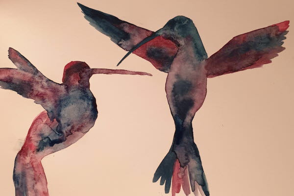 Två fåglar i olika färger med utfälda vingar. Foto.