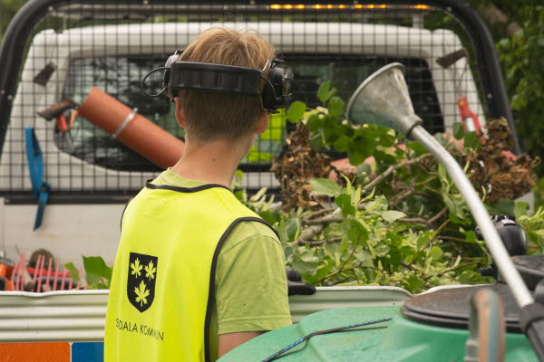 En ungdom med gul väst med Svedala kommuns logga, står vid en mindre lastbil med grenar och grönt. Foto.