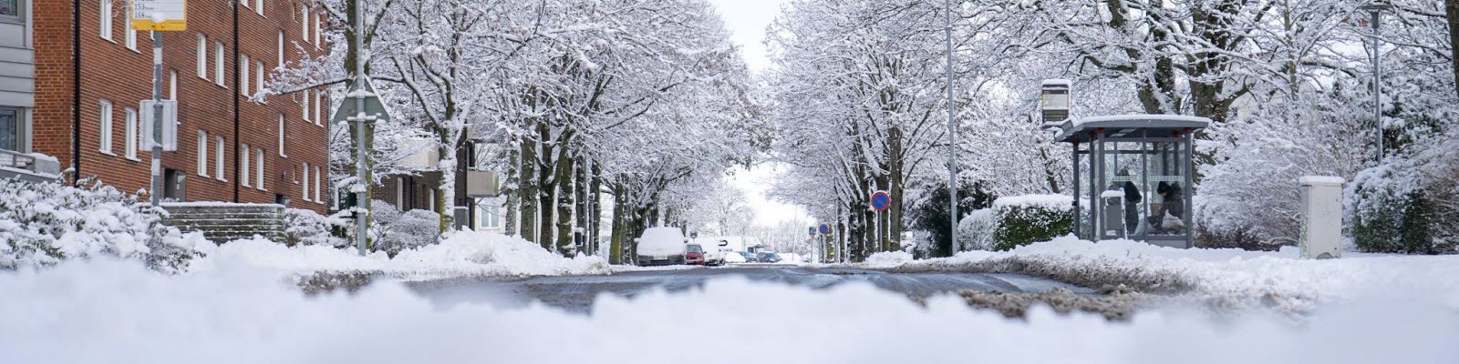 Snö längs en gata och i trädallén. Foto.