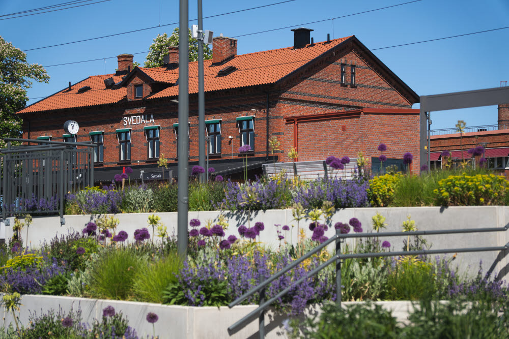 Terrasserade planteringar vid tågperrong, Gamla stationsbyggnaden i bakgrunden